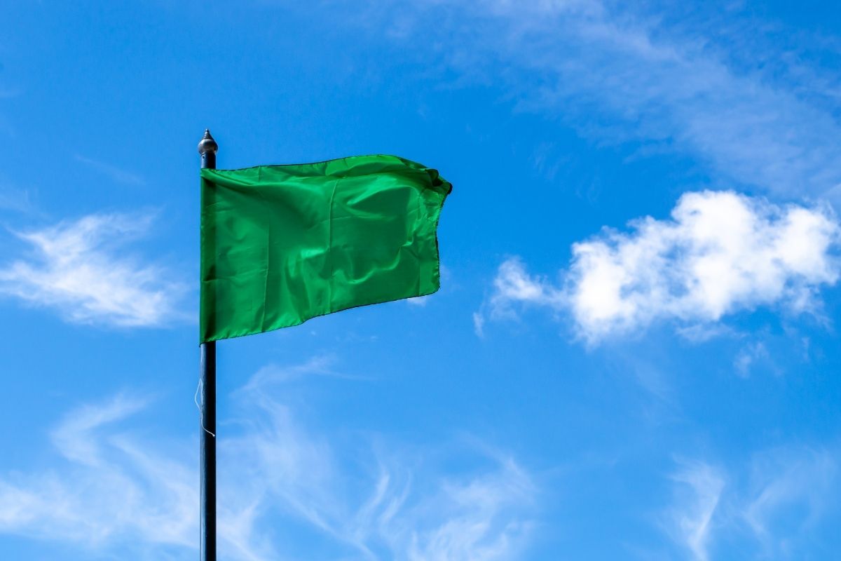 Green Flags That Predict Healthy Love More Than Grand Gestures Ever Will - green flags thumb